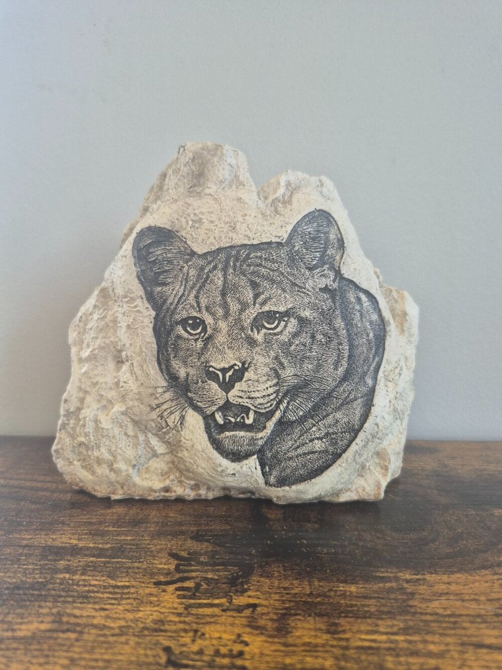 Cougar Etched Rock